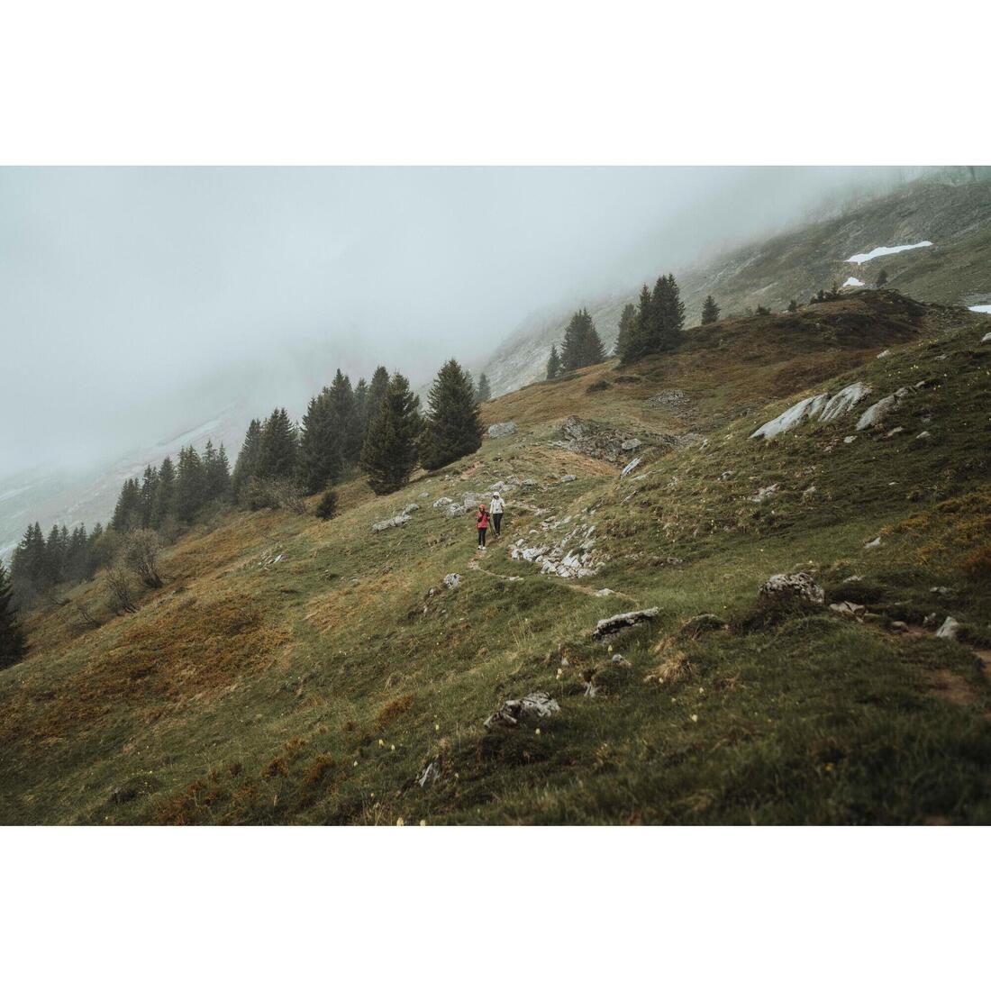 Imagen del producto 55