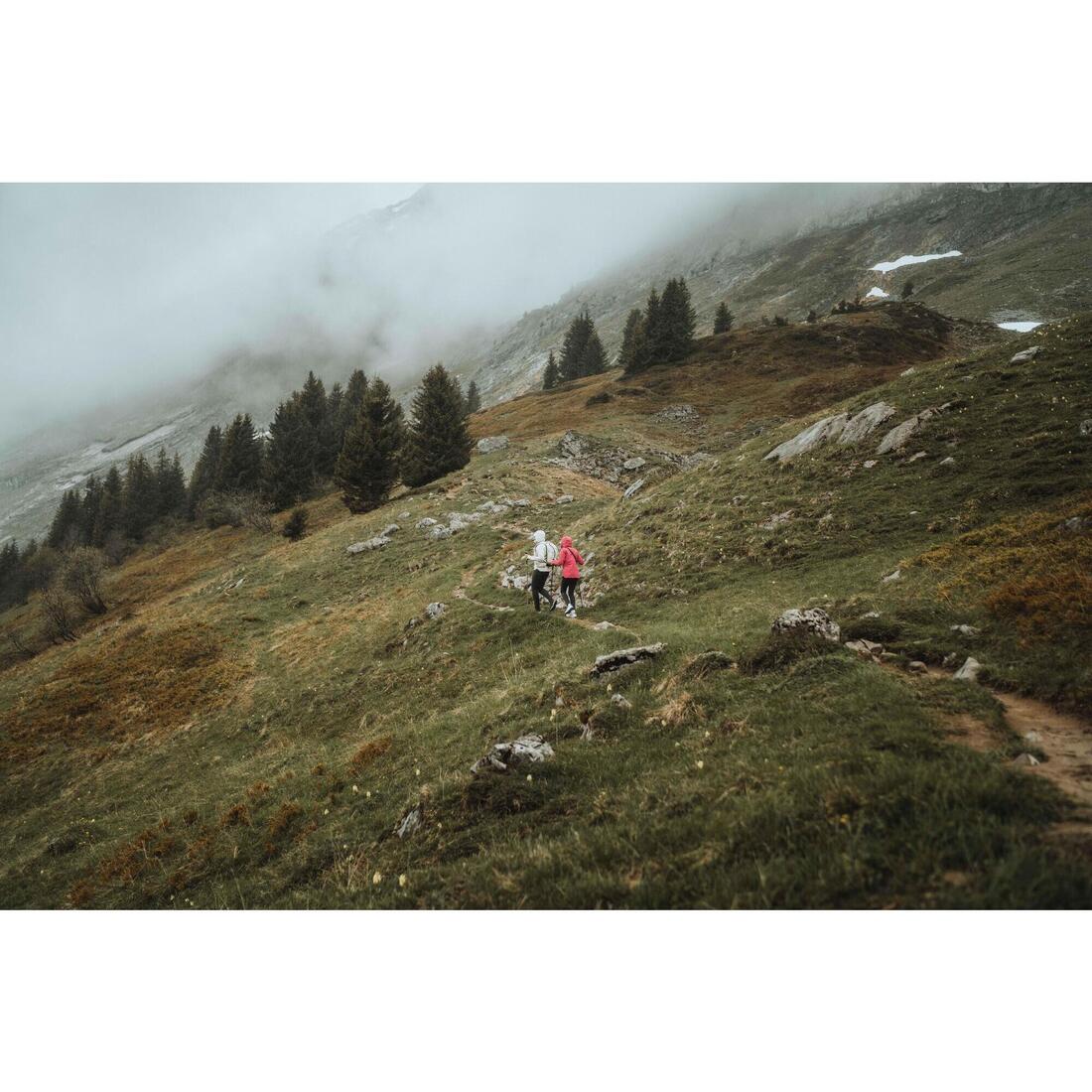 Imagen del producto 60