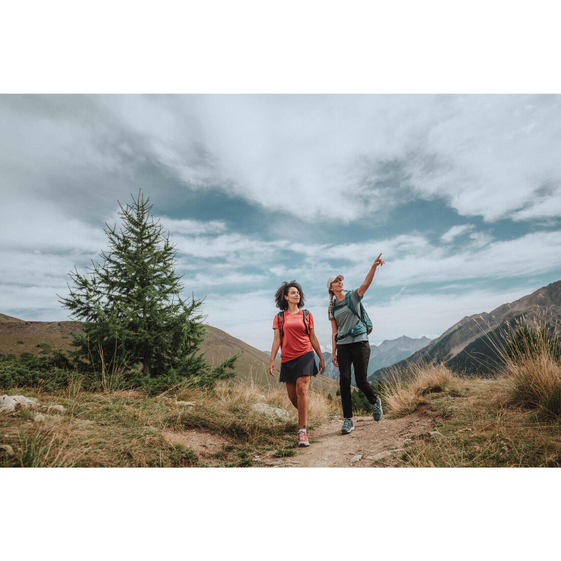 Imagen del producto 46